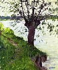 Gustave Caillebotte Canvas Paintings - Willow on the Banks of the Seine